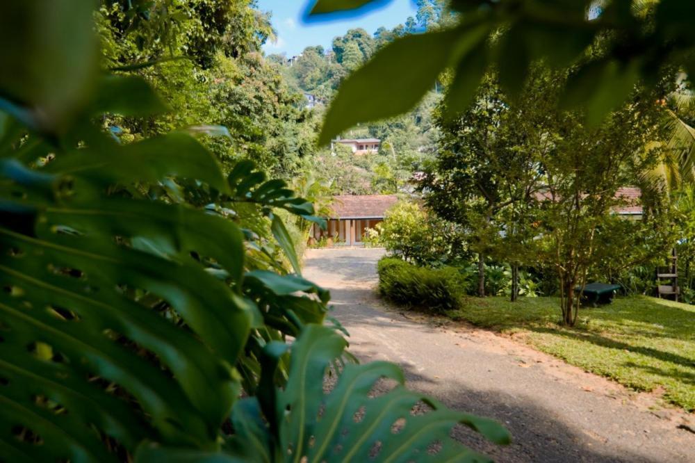 Clove Garden Канди Экстерьер фото